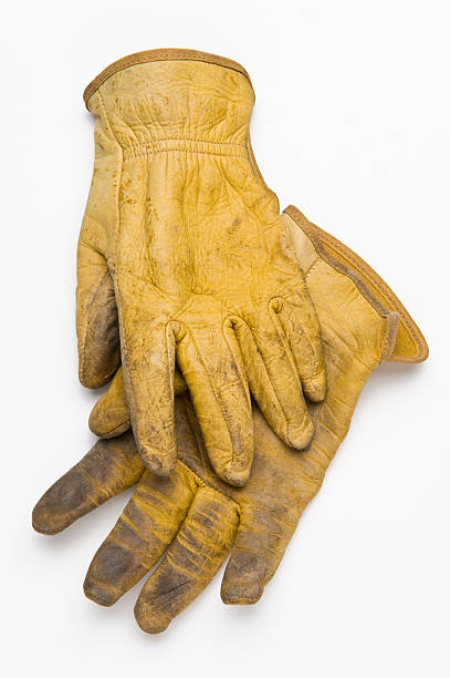 Old Leather Work Gloves stock photo