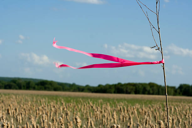 istock Pink Ribbon Flying 172931816