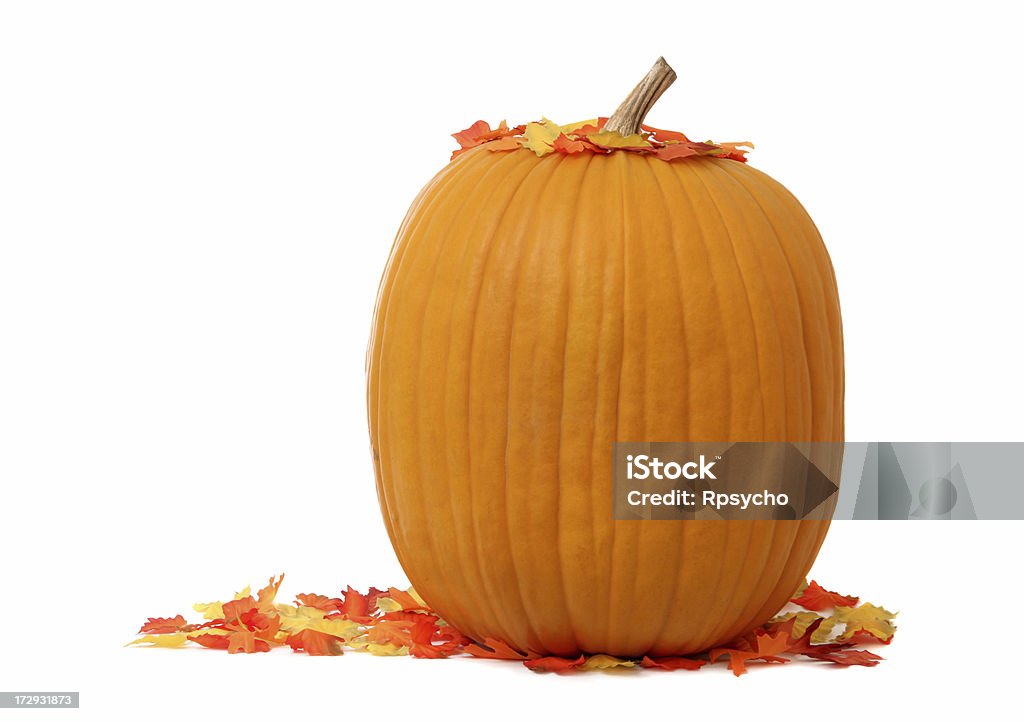 Autumn Pumpkin "A lovely (and massive) pumpkin with autumn leaves, on white. Check out some other" Leaf Stock Photo