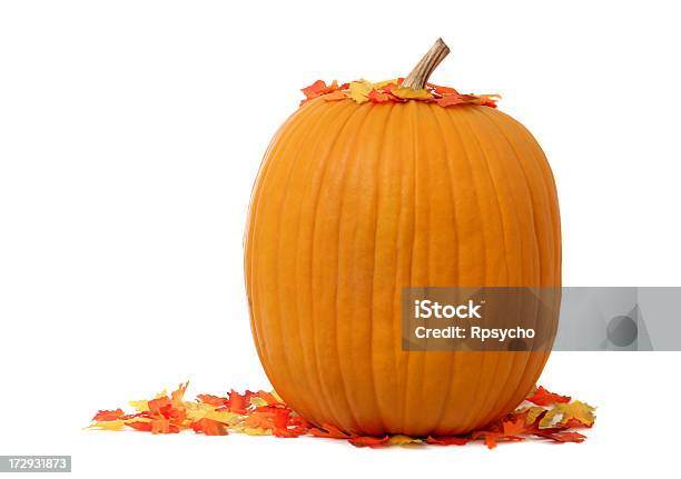 Autumn Pumpkin Stock Photo - Download Image Now - Leaf, Pumpkin, White Background