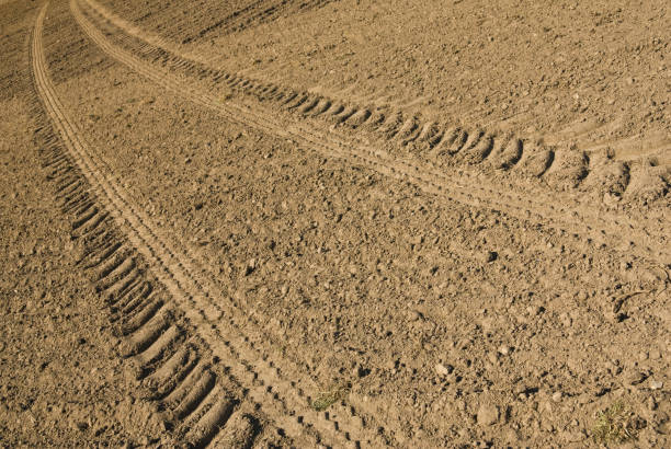 tire pistas en un campo, fondo - ackerfurchen fotografías e imágenes de stock