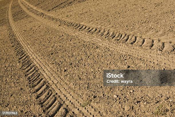 Tracce Di Pneumatici Su Un Campo Sfondo - Fotografie stock e altre immagini di Agricoltura - Agricoltura, Ambientazione tranquilla, Ampio