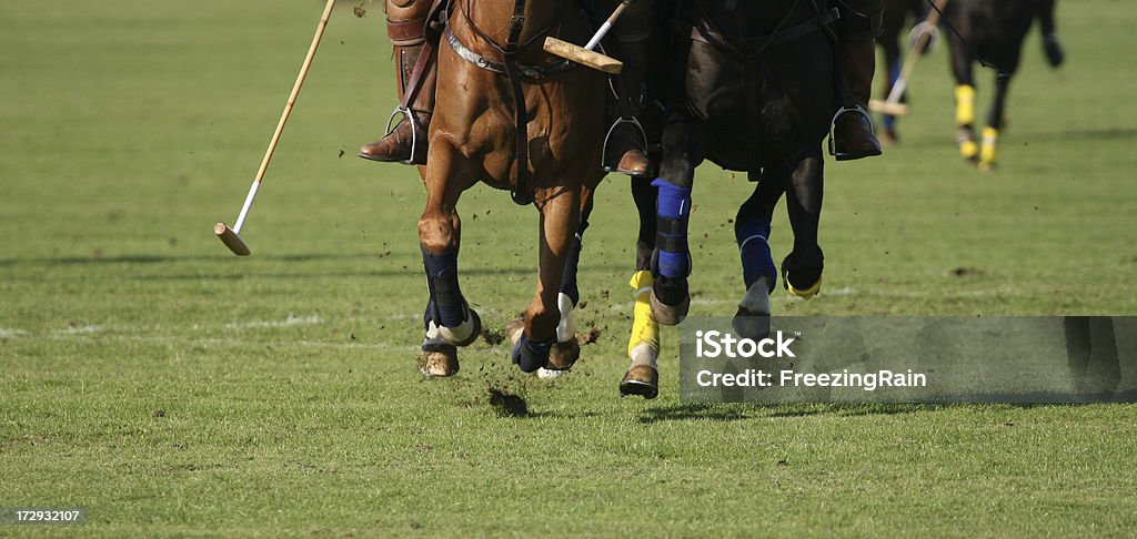 Polo cavalos pernas - Royalty-free Pólo Foto de stock