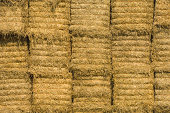 hay-bales.jpg?b=1&s=170x170&k=20&c=4heVQSz08Ap9S2emcoYfreb8NegCJAcDdH4CpkQHBJU=