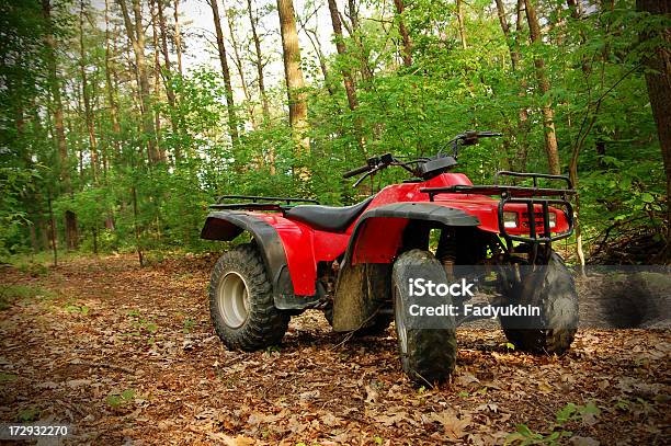 Quatro Wheeler - Fotografias de stock e mais imagens de Quad Bike - Quad Bike, Veículo Todo-o-Terreno, Mata