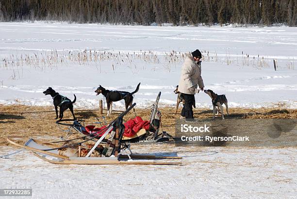 Addestratore Di Cani Yellowknife - Fotografie stock e altre immagini di Inuit - Inuit, Canada, Tipico dell'Alaska