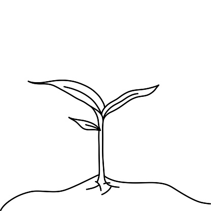 Plant Icon. Cultivation, Organic, Farming, Seeding, Nature.