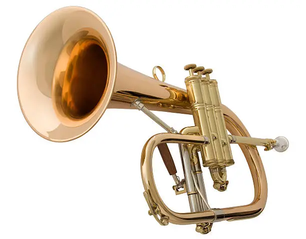 Photograph of a brass wind instrument, isolated on white. 