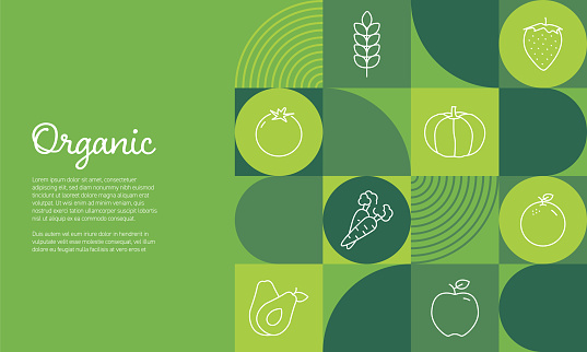 Organic Banner Design Vector Illustration. Organic Food, Vegan, Farm Fresh, Natural Product, Bio and Locally Grown.