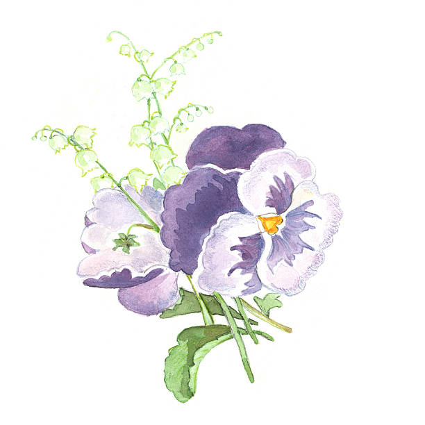 Spring Flowers Arrangement "Spring flowers arrangement is my art product, painted with water colors. It represents two pansy flower heads and lily-of-the-valley bouquet on white background. I am the owner of the copyright. Please visit my Flower Gallery!See related images:" pansy stock illustrations