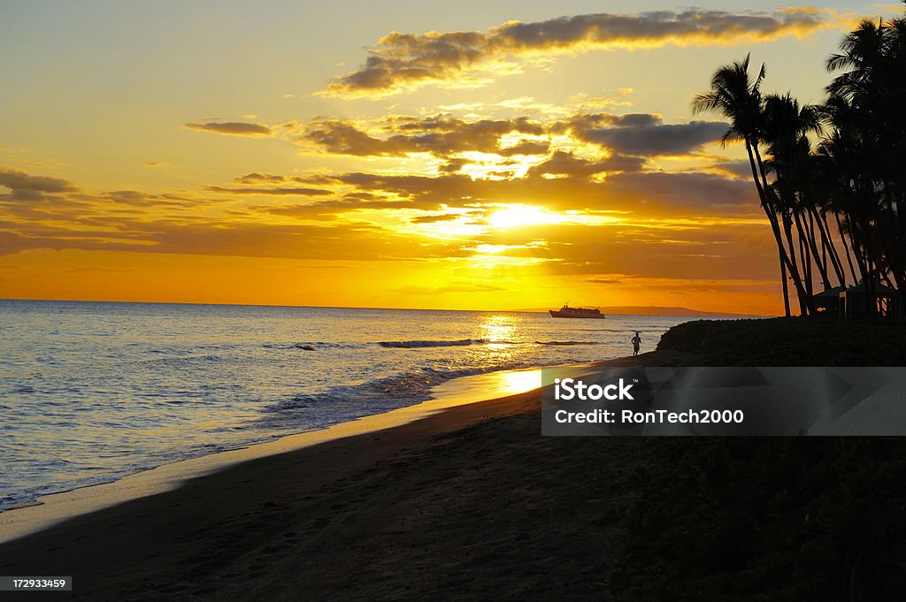 Hawaiian tramonto - Foto stock royalty-free di Albero