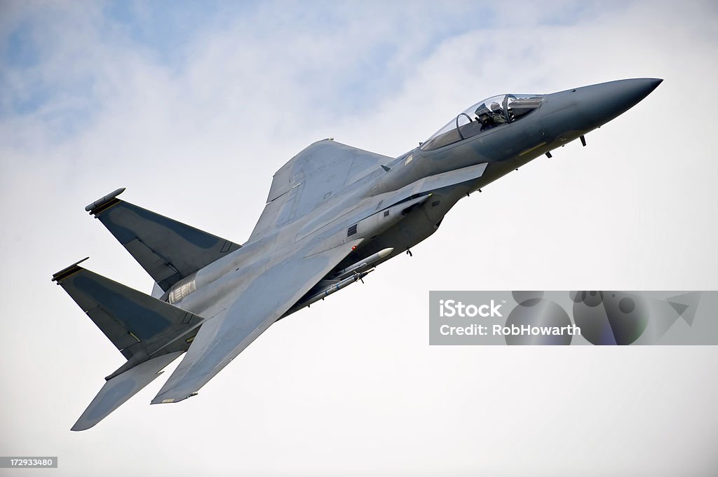 軍用ジェット - F-15機のロイヤリティフリーストックフォト