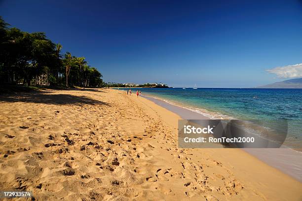 Photo libre de droit de Plage Tropicale banque d'images et plus d'images libres de droit de Beauté de la nature - Beauté de la nature, Bleu, Ciel