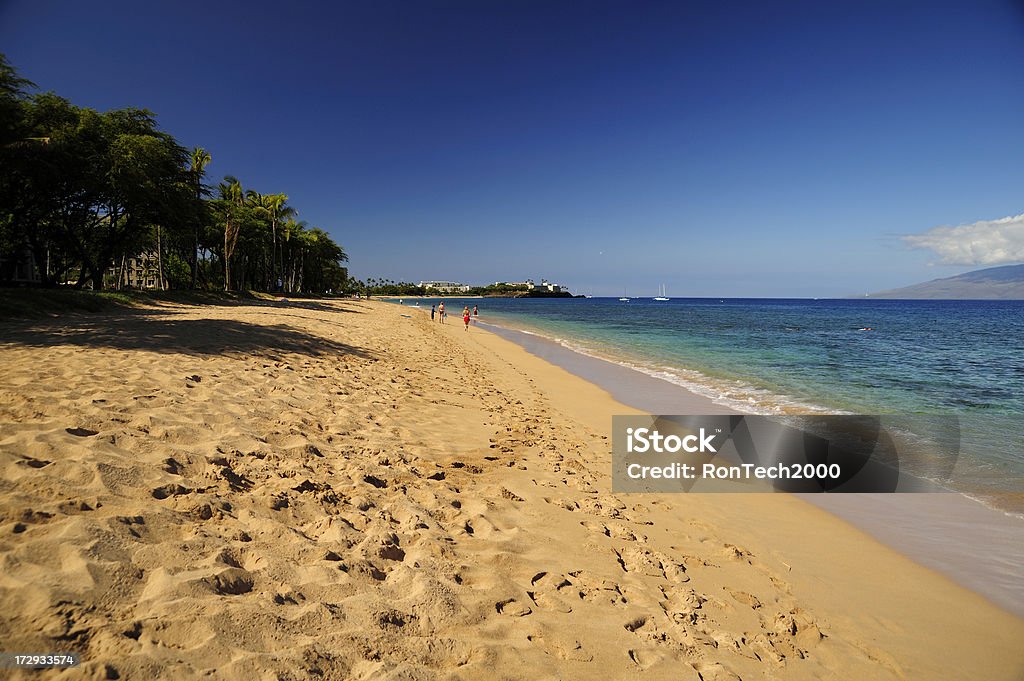 Praia Tropical - Foto de stock de Areia royalty-free