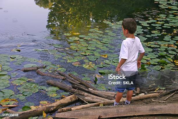 Niño Jugando En El Estanque Foto de stock y más banco de imágenes de 6-7 años - 6-7 años, Actividades recreativas, Agua