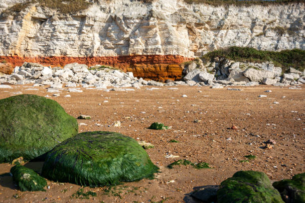 istock Colourful sandstone cliffs on british beach in england uk 1729338307