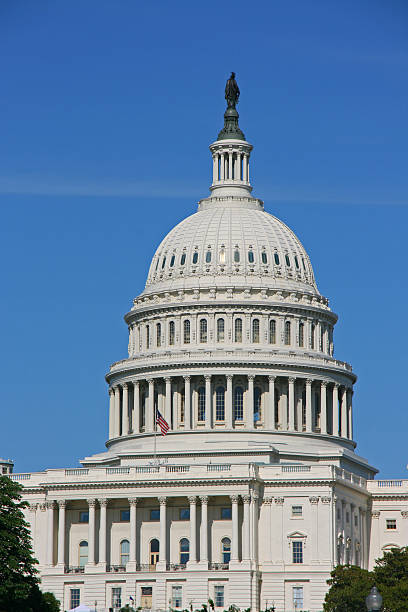 istock The Capitol in Washington DC (USA) 172934410