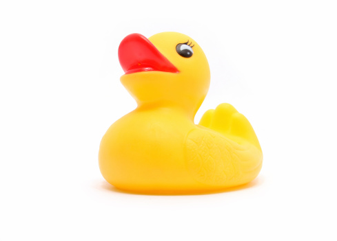 A rubber duck isolated on white.