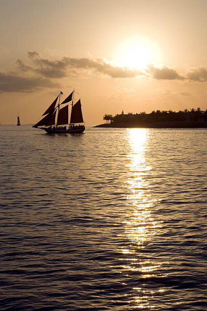 Sunset sail stock photo