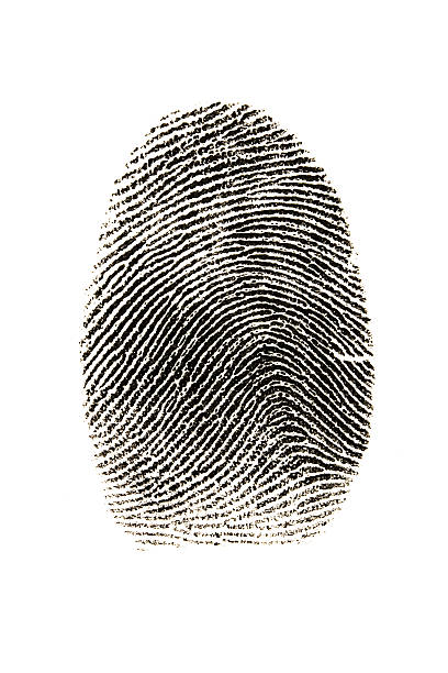 istock Fingerprint photographed on white background. 172934590