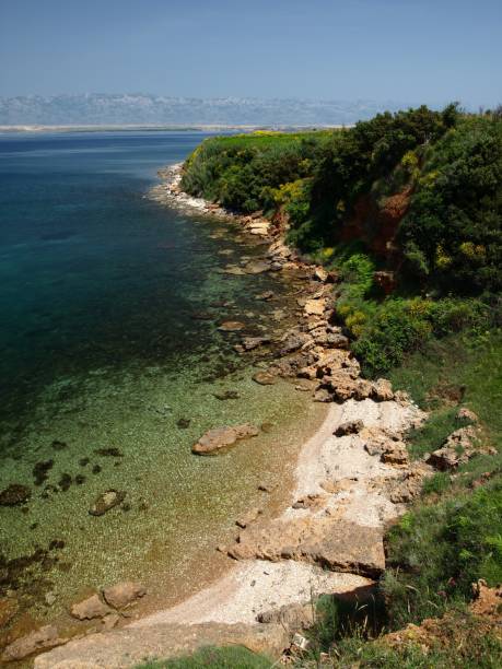 istock Turqouise lagoon, rocky beach 172934625