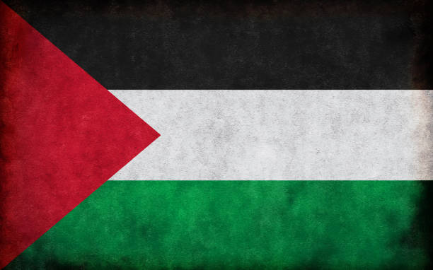 kuvapankkikuvitukset aiheesta kuva grungen maan lipusta / palestiina - palestine liberation organization