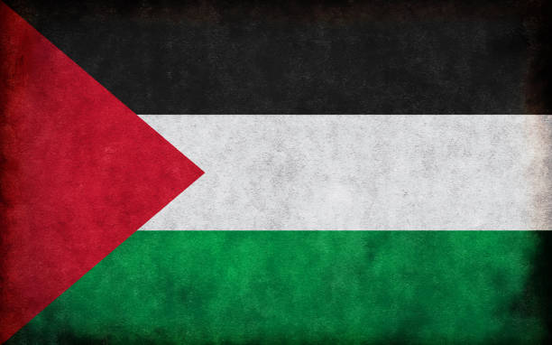Grunge country flag illustration / Palestine Grunge country flag illustration / Palestine palestinian flag stock illustrations
