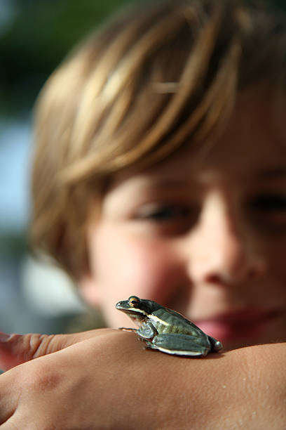 A cute boy finds green frog and turns him into a lovable pet.