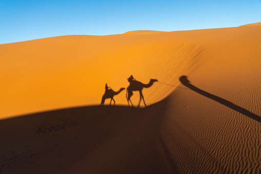 Shadows of camels and people in Sahara Desert, Morocco.