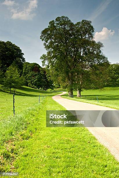 Foto de Estrada Sinuosa e mais fotos de stock de Prado - Prado, Árvore, Azul