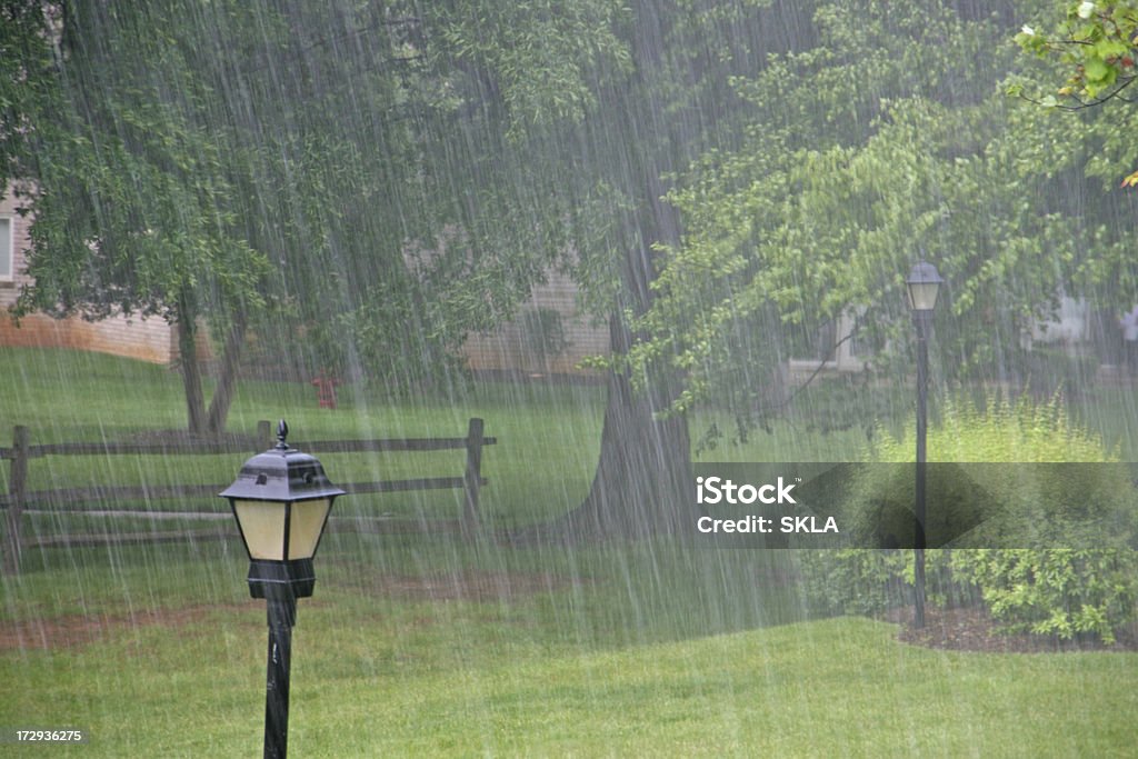 Lluvia fuerte en el parque - Foto de stock de Lluvia libre de derechos