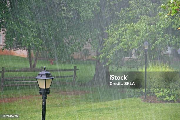 Lluvia Fuerte En El Parque Foto de stock y más banco de imágenes de Lluvia - Lluvia, Árbol, Lluvia torrencial