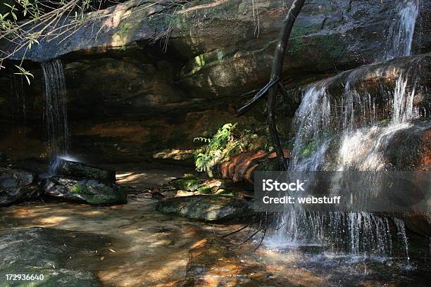 Photo libre de droit de Somersby Falls Central Coast Nouvellegalles Du Sud Australie banque d'images et plus d'images libres de droit de Nouvelle-Galles-du-Sud