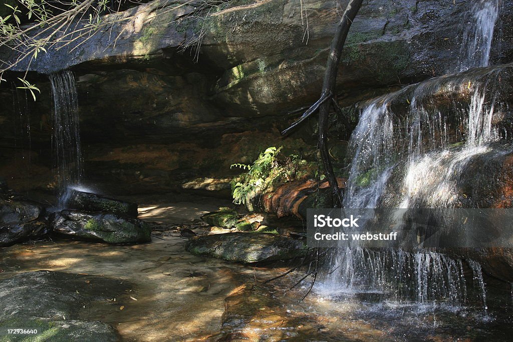 Somersby Falls, Central Coast, Nova Gales do Sul, Austrália - Foto de stock de Arbusto royalty-free