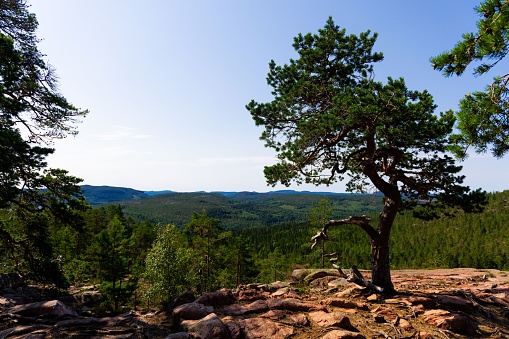 A scenic landscape featuring a rocky terrain and a deep blue sky in the backdrop.