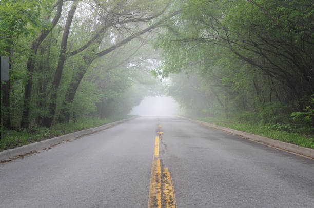 istock Foggy Morning Street 172937197