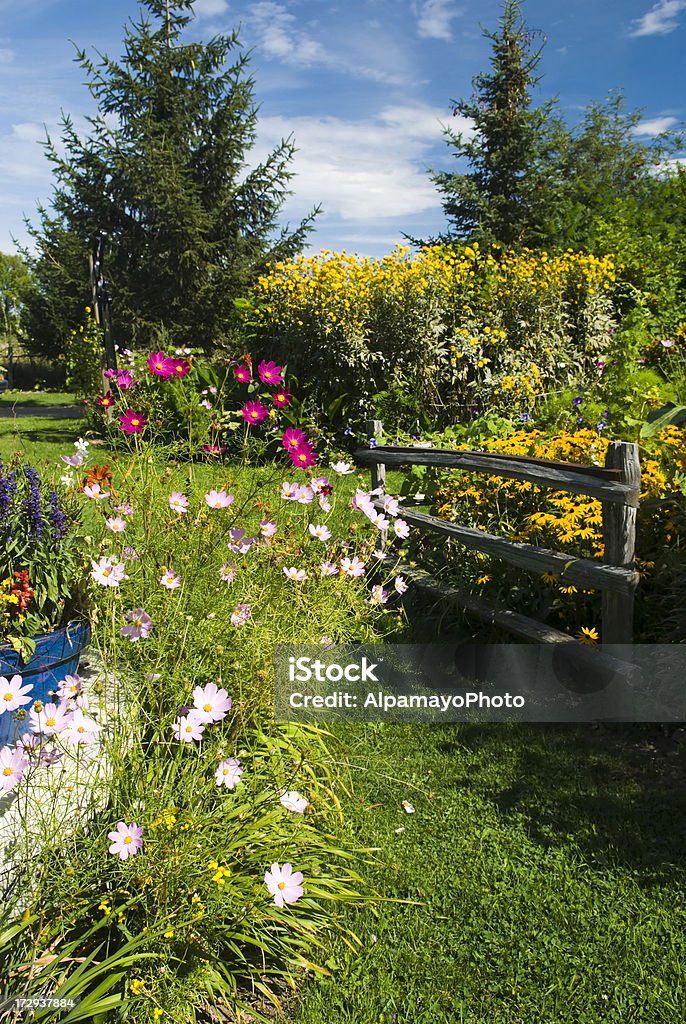 Jardín de verano-IV - Foto de stock de Belleza de la naturaleza libre de derechos