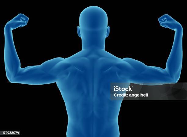 スペーリア Musculature 人体の - X線撮影のストックフォトや画像を多数ご用意 - X線撮影, カットアウト, データ