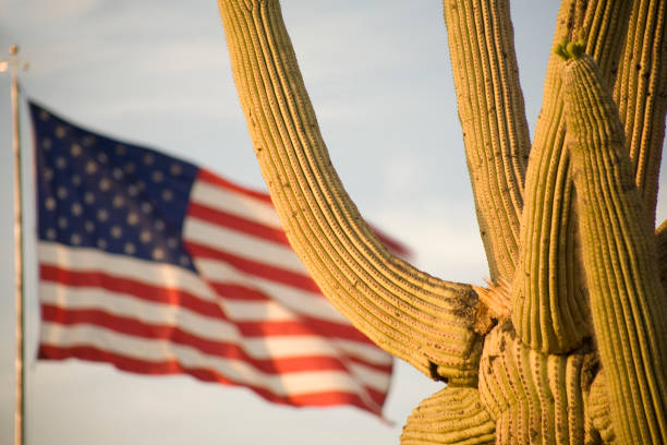 istock Western Patriotism 172938089