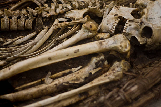 istock Close-up of preserved human remains 172938738