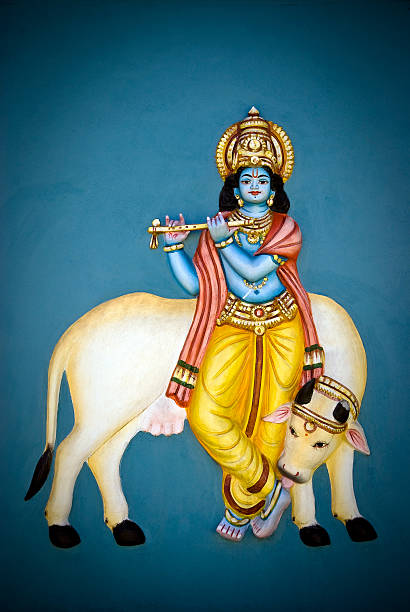 Krishna and sacred cow Painting of god Krishna with a sacred cow on a Tamil temple' wall located in Mauritius island pictures of krishna stock pictures, royalty-free photos & images