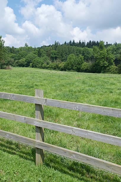 istock Wood Fence Idyllic Green Field Scene with Forest 172938968