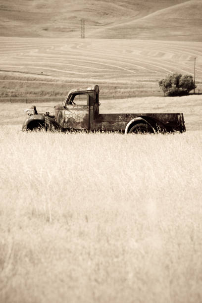 Old Truck in Grass Field