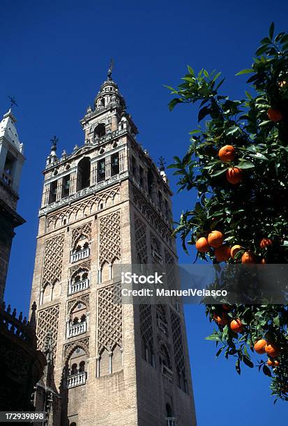 Siviglia - Fotografie stock e altre immagini di Albero - Albero, Ambientazione esterna, Andalusia