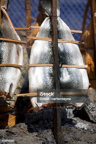 Foto de Salmão Defumado Em Um Poço De Fogo Aberto e mais fotos de stock de Fogo de Chaminé - Fogo de Chaminé, Modo de Preparação de Comida, Salmão - Peixe