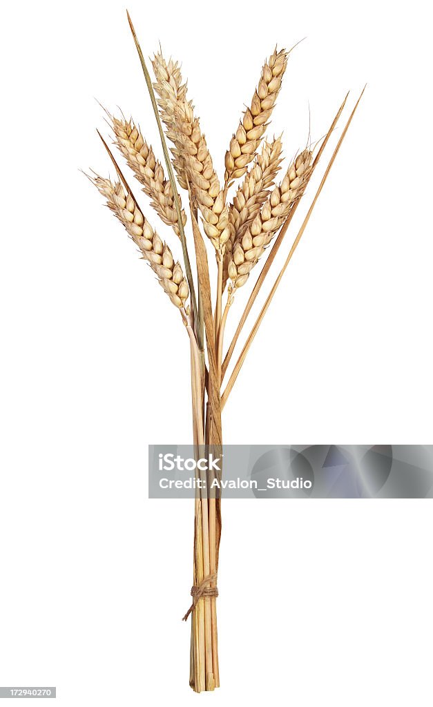 Oreilles de blé - Photo de Blé libre de droits
