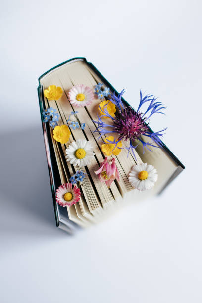 istock wildflowers on books 1729403118