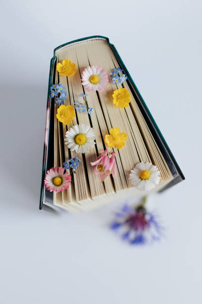 istock wildflowers on books 1729403142