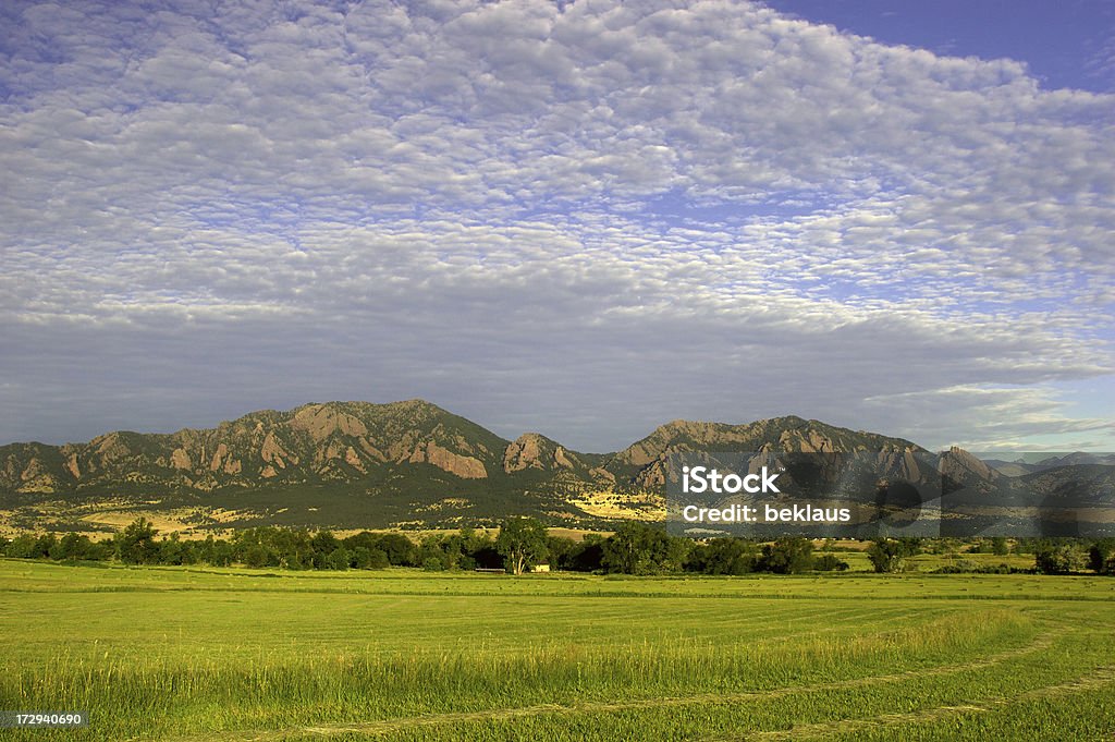 Alba sopra hayfield - Foto stock royalty-free di Agricoltura