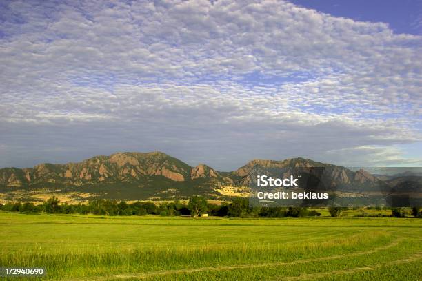 Alba Sopra Hayfield - Fotografie stock e altre immagini di Agricoltura - Agricoltura, Ambientazione esterna, Ambiente